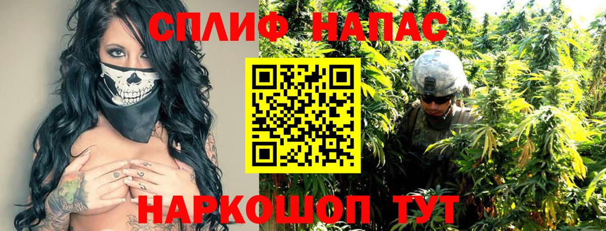 Конопля OG Kush  Бошки Шишки VHQ  Канабис гибрид  Вход с VPN  Салават 